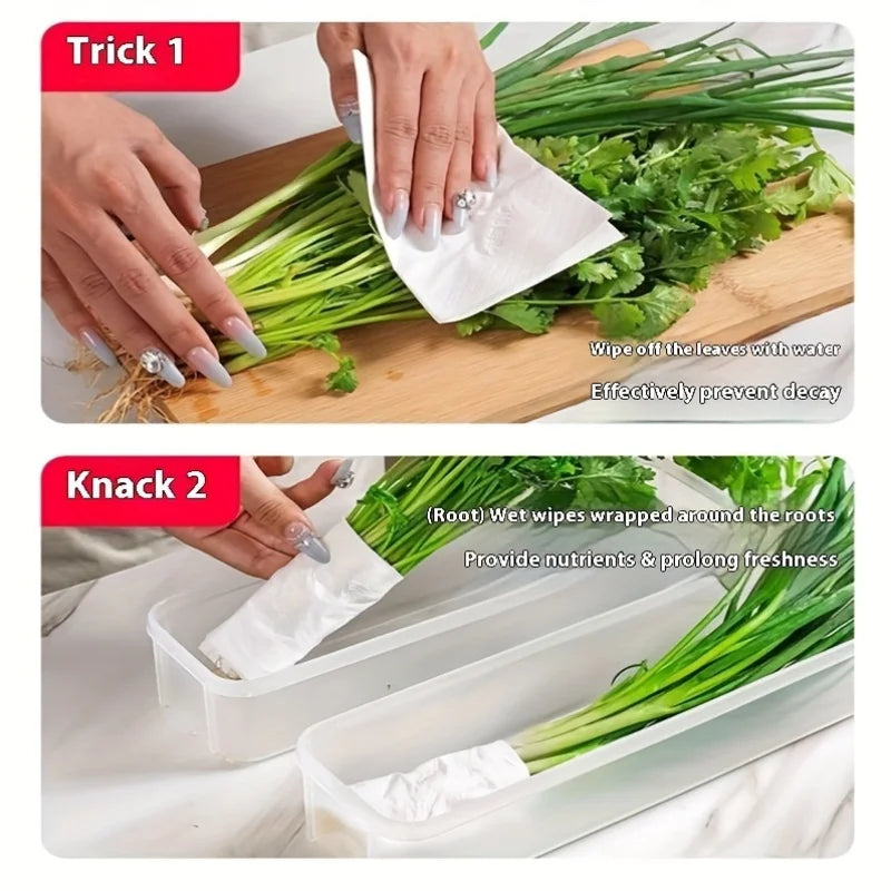 Load image into Gallery viewer, Refrigerator fresh-keeping storage box, fresh-keeping artifact,Small Food Preservation Boxes,Transparent Sealed Storage Box
